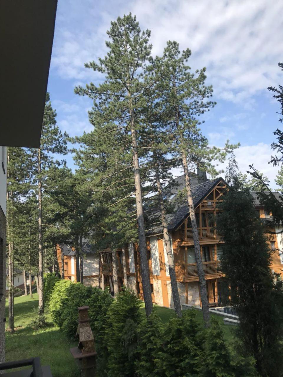 Lux Apartman Daria Zlatibor Esterno foto